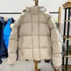 Piumino da donna Piumino caldo invernale di moda Cappotto classico Parka con cappuccio Capispalla da donna Elegante piumino antivento spesso 23FW