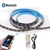 Strips SMD RGB LED Strip Light Bar 5V USB Bluetooth Music Waterproof Flexible Tape Ribbon Diode Lamps With 24Keys Remote Control