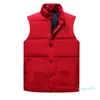 Gilet da uomo Piumini alla moda Senza piumino senza maniche Autunno Inverno Cappotti casual Capispalla Gilet impermeabili Cappotto per coppie Animale