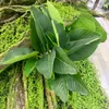 Flores decorativas 37 cm de plantas de banana artificial folhas de folhas árvores de jardim de pedestres de caça de outono panelas de casas de casamento ao ar livre decoração de casa