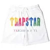 Shorts masculinos trapstar London Summer Baggy Sweatshorts Hip Hop Streetwear Logo Jogger curto algodão reto Casual G221012