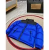 Winter Kids Designer Down Coat Warm Jacket Boy Girl Baby Outerwear Jackets with Letters Fashion Thick Outwear Parkas Coats Childre6571886