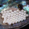 Perles 7-7.5mm blanc naturel parfait rond demi-trou perle en vrac