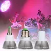 Grow Lights 10X LED Plante Lampe E27 GU10 Projecteur Spectre Complet E14 Ampoules Fleur Serre Hydroponique Système 110V 220V Boîte