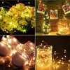Guirlande lumineuse LED en fil de cuivre, 3m 5m, éclairage de vacances, guirlande féerique pour arbre de noël, lampe de décoration de fête de mariage, CR2032