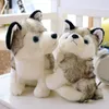 Gevulde dieren poppen Kinderen speelgoed Husky Dog Plush Doll speelgoed Geschenken Kinderen Kerstgeschenk ZM1014