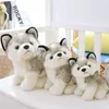 Animali di peluche Bambole Giocattolo per bambini Cane Husky Bambola di peluche Giocattoli Regali Regalo di Natale per bambini ZM1014