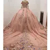 Champagne Blush Princesse Quinceanera Robes avec Manches Longues 3D Floral À Lacets Corset chapelle train Bal xvideo 16 ans robe