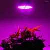 Grow Lights 4pcs / lot 80W Lampe de croissance à spectre complet LED E27 5730SMD pour les plantes et la culture hydroponique Bloom Lighting