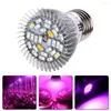 Grow Lights 10X LED Plante Lampe E27 GU10 Projecteur Spectre Complet E14 Ampoules Fleur Serre Hydroponique Système 110V 220V Boîte