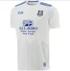 GAA Carlow Roscommon S-5xl Offalys Rugby Jerseys Limerick Wexford Kilkenny Dinegal Антрим Керри Тайрон Мейо Корк Мит Голуэй Дублин