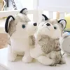Pchane zwierzęta lalki dla dzieci zabawek husky pies pluszowe zabawki darowizny dar dzieci