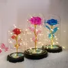 Lumière LED Rose décoration de fête fleur en feuille d'or 24K avec guirlandes lumineuses en dôme pour noël cadeau de la saint-valentin