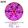 Grow Lights 4pcs / lot 80W Lampe de croissance à spectre complet LED E27 5730SMD pour les plantes et la culture hydroponique Bloom Lighting