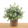 Flores decorativas Planta simulada Eucalipto sai lysimachia christinae aspargogo artificial panela de flores em casa natal