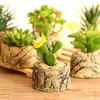 Flores decorativas Plantas artificiais Simulação Mini suculento emulação emoulação Pottting Ornamentos de bonsai falsos decoração de desktop em casa