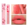 Lip Gloss Long Lasting Moisturizer Lipstick 12 kleuren Matte waterdichte lipgloss Make -upgereedschap