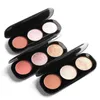Blush and Highlighter Palette 3 in 1 make-uppoederpalet 3D Brightening Color Rendering Langdurige cosmetica