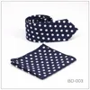 Boog bindt Hisuma Men Jacquard Polka Dot Skinny Neck Tie Bruidegom Bruidegedrijf Zakelijke feestje Pochet Set zakdoeken Hanky