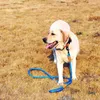 Dog Collars Leash耐久性のあるナイロンウェビング亜鉛合金フック大小のペット犬に適し