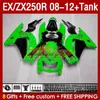 OEM-Verkleidungstank für KAWASAKI NINJA ZX250R EX ZX 250R ZX250 EX250 R 08-12 163Nr