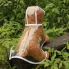 犬のアパレル風力防止ペットペット子犬レインコートジャケットレインウェア透明ボタンフード保護コート服