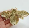 Broches unieke zwarte bijenbroche strass kristal insecten vrouw pin