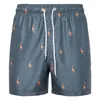 Artı boy erkek şort plaj pantolon baskılı gündelik hawaii tahtası kısa gevşek pantolon satışlar 2pcs/lot