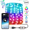 Stringhe 20/50/100 Luci a LED String Light Light USB Carica Bluetooth App Control Decorazioni natalizie in rame