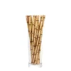 nybiodegraderbar bambu halspapper gr￶na sugr￶r ekov￤nliga 25 datorer mycket p￥ marknadsf￶ring 800 partier dap503