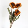 Decorative Flowers Wheat Tail Grass Dried Flower Bouquet DIY Perpetual Living Room Gradient Lagurus Ovatus Wedding Home Decoration