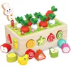Educational Educational Toy Farm Orchard Shape Bloco de Bloco de Bloco de Bloco Combinando Captura de Insetos Puxando Rabos Desmontados e Montagem