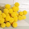 Fleurs décoratives FUNNYBUNNY 10 PCS Séché Craspedia Jaune Boules De Billy Pour Bouquet De Mariage Décor Guirlande De Noël DIY Pas De Vase