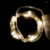 Str￤ngar 20 100 LED Copper Wire Fairy Lights Batteridriven str￤ng br￶llopsfest inomhus juldekoration girland