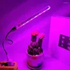Grow Lights 21 LED Çiçek Bitki Işığı DC5V USB FYTO Büyüyen Esnek Masa Tutucu Kırmızı Mavi Kapalı Lamba Saksı Etli