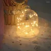 سلاسل 1M/5M/10M 100 LED أضواء سلسلة Starry لغرفة النوم Currain USB DIY Party Christmas Wedding Decors Outdoor Holiday