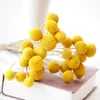 Fleurs décoratives FUNNYBUNNY 10 PCS Séché Craspedia Jaune Boules De Billy Pour Bouquet De Mariage Décor Guirlande De Noël DIY Pas De Vase