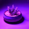 Grow Lights 5V 2.5W Portable USB LED Lampe de Croissance des Plantes Intérieur Phytolamp Pour Plantes Vertes Fleurs Semis Serre Spectre Complet