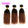 Brazilian Human Hair Double Wefts 8-34inch Kinky Curly 1B 30 Ombre Color Yirubeauty Peruvian Indian Malaysian