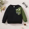 Pullover 4 Y Kids Boys Sweatshirt Baby Autumn Autumn Cartoon Dinosaur Tops Long Sleve Tops Children Sleace Sourder Sweater 221017