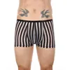 Mutande Intimo perizoma da uomo Sexy Stripe Pantaloncini trasparenti T Shorts Boxer Reathable Mesh Slip Knickers