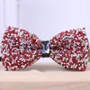 Sparkly Diamond Bow Ties Necktie Bar Festival Party Decoration Bowknot Wedding Fashion Accessories