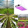 Rosną światła pełne światła LED Lampki AC100-277V dla roślin wewnętrznych Flower Greenhouse Namiot pudełko