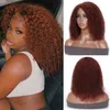 Bezklejowy Afro Kinky Curly Włosy naturalne Peruka dla kobiet Włosy brazylijskie Miedziany Czerwony Pełna objętość Kinki Culr Brak Siateczka z przodu Peruki kasztanowo-brązowy kolor 33 150% Denisty 14 cali Diva1