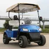 Ein Einzug Golfwagen Jagd Sightseeing Tour Vierrad robuste Farbe Optionale benutzerdefinierte Modifikation