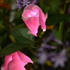 Simulazione del paesaggio del prato per decorazioni da giardino rosa fiore solare luce esterna di palo impermeabile