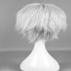 Encantadora peluca de animación recta corta plateada blanca COS peluca