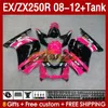 Kawasaki Ninja Ex250R ZX250R 2008 için enjeksiyon Fairings Tank 2011 2012 2012 ZX250 EX250 R 163No.111 ZX-250R 08-12 EX ZX 250R 08 09 10 11 12 OEM Kaplama Gül Parlak