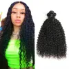 Water Wave Human Hair Bundels 3pcs 9a Peruaanse Remy Hair natte en golvende uitbreidingen voor vrouwen