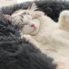 جولة ناعمة طويلة القطيفة قطة سرير بيوت البيوت البيت ذاتي الاحترار الأليف الكلب أسرة للكلاب الصغيرة المتوسطة القطط عش وينت